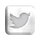 FSGT - Twitter